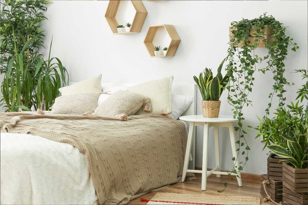 Les couleurs tendance pour une chambre paisible et élégante